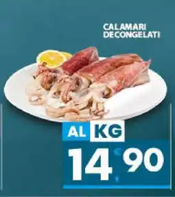 Eurospar Calamari Decongelati offerta