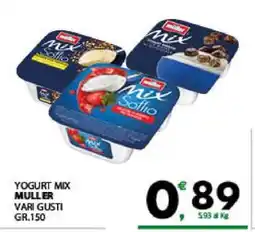Eurospar YOGURT MIX offerta