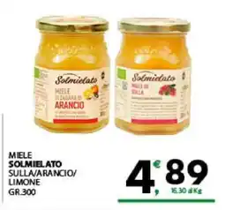 Eurospar MIELE SOLMIELATO SULLA/ARANCIO/LIMONE offerta