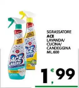 Eurospar SGRASSATORE ACE offerta