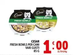 Deco Supermercati CESAR FRESH BOWLS PER CANI offerta