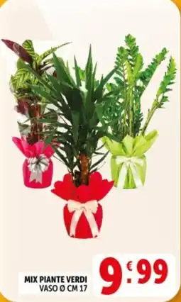 Deco Supermercati MIX PIANTE VERDI offerta