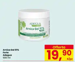 Interspar Arnica Gel 91% Forte Adegua offerta