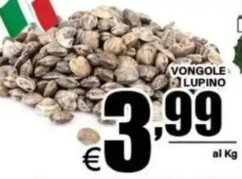 DEM VONGOLE LUPINO offerta