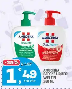 Splendidi e Splendenti AMUCHINA SAPONE LIQUIDO offerta