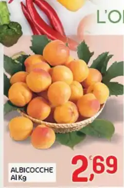 Crai ALBICOCCHE offerta