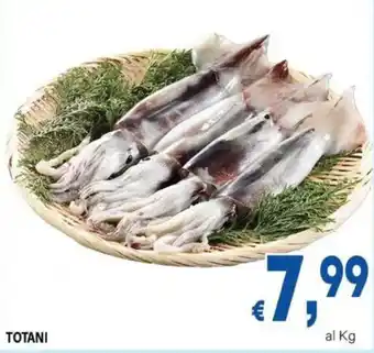 DEM TOTANI offerta