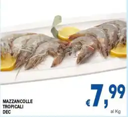 DEM MAZZANCOLLE TROPICALI DEC offerta