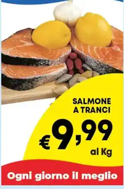 DEM Salmone a tranci offerta