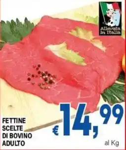 DEM Fettine scelte di bovino adulto offerta