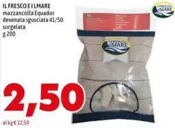 MEGA mazzancolla Equador offerta
