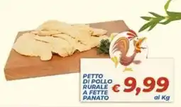 DEM PETTO DI POLLO RURALE A FETTE PANATO offerta