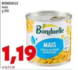 MEGA Bonduelle mais offerta