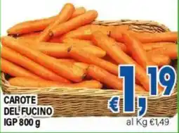 DEM CAROTE DEL FUCINO IGP offerta