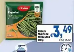 DEM Findus Fagiolini Primavera offerta