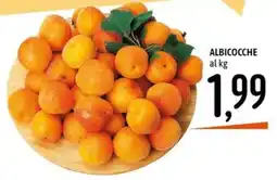 Emisfero ALBICOCCHE offerta