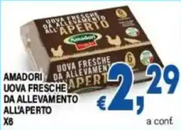 DEM Uova fresche da allevamento all'aperto Amadori offerta