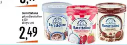 Emisfero Sammontana Barattolino offerta
