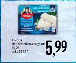 Emisfero Findus fiori di merluzzo surgelati offerta