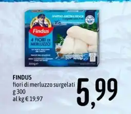 Emisfero Findus fiori di merluzzo surgelati offerta
