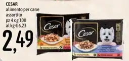Emisfero CESAR alimento per cane offerta