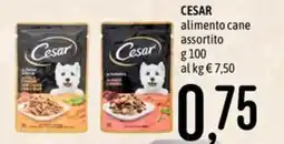 Emisfero CESAR alimento cane offerta