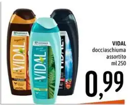 Emisfero VIDAL docciaschiuma offerta