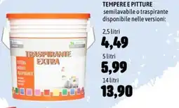 Emisfero Pittura murale traspirante extra offerta