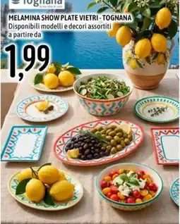 Emisfero MELAMINA SHOW PLATE VIETRI - TOGNANA offerta