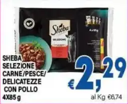 DEM SHEBA SELEZIONE CARNE/PESE/DELICATEZZE CON POLLO offerta