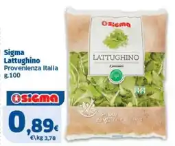 Sigma Sigma Lattughino offerta