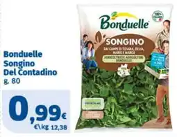 Sigma Bonduelle Songino Del Contadino offerta