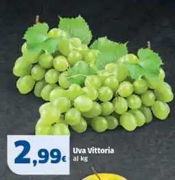 Sigma Uva Vittoria offerta