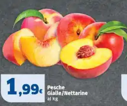 Sigma Pesche Gialle/Nettarine offerta