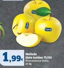Sigma Melinda Mele Golden offerta