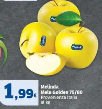 Sigma Melinda Mele Golden offerta