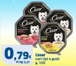 Sigma Cesar offerta