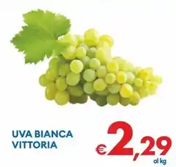 MD Discount UVA BIANCA VITTORIA offerta