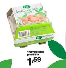 In'S Mercato 4 uova fresche grandi 4 Uova fresche grandi Bio offerta