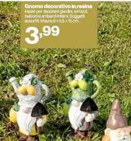 In'S Mercato Ginomo decorativo in resina offerta
