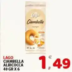 Premium Supermercati Lago ciambella albicocca offerta