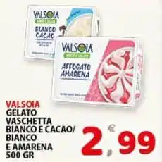 Premium Supermercati Valsoia gelato vaschetta bianco e cacao/ bianco e amarena offerta