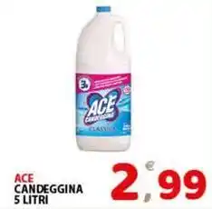 Premium Supermercati Ace candeggina offerta