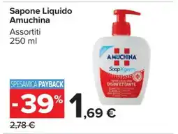 Carrefour Sapone Liquido Amuchina offerta