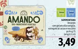 Madis Sammontana amando coni gelato alla vaniglia, variegato al cacao e nocciola offerta