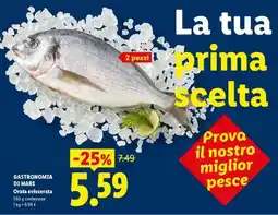 Lidl GASTRONOMIA DI MARE Orata eviscerata offerta