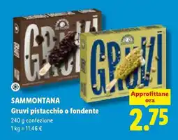 Lidl SAMMONTANA Gruvi pistacchio o fondente offerta