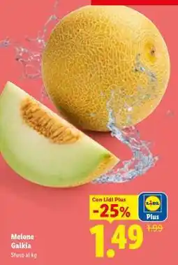 Lidl Melone Galkia offerta