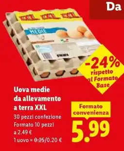 Lidl Uova medie da allevamento a terra XXL offerta