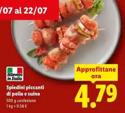 Lidl Spiedini piccanti di pollo e suino offerta